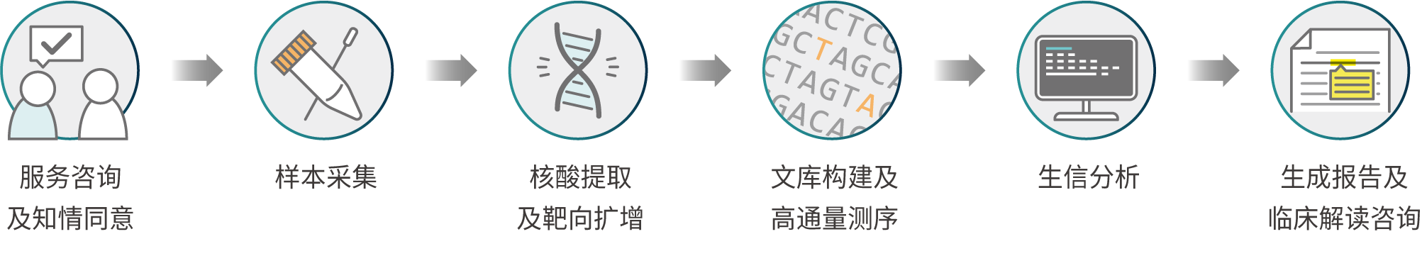 PTSeq检测周期及流程