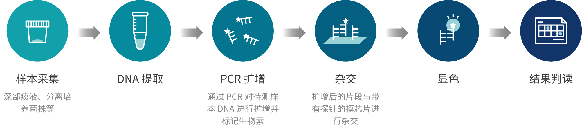 msi检测流程