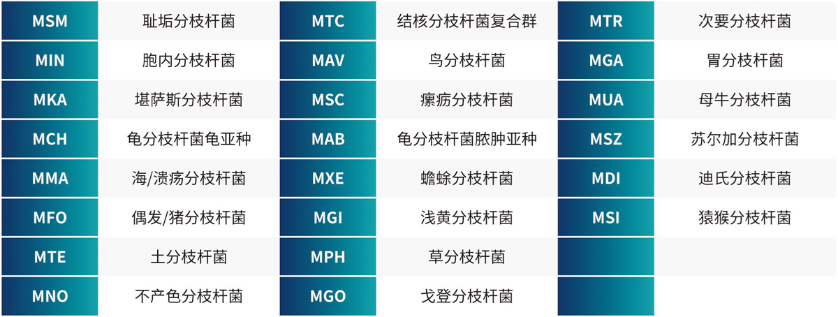 msi检测范围
