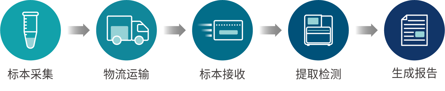 检测流程